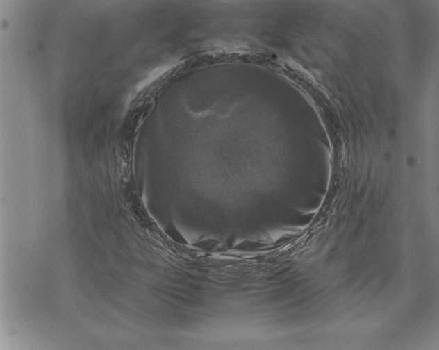 X0000071831303200607141650