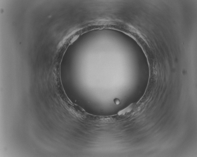 X0000071831304200607141650