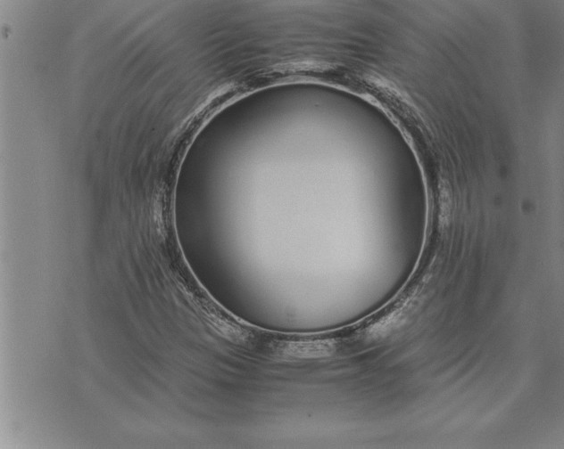 X0000071831305200607141650