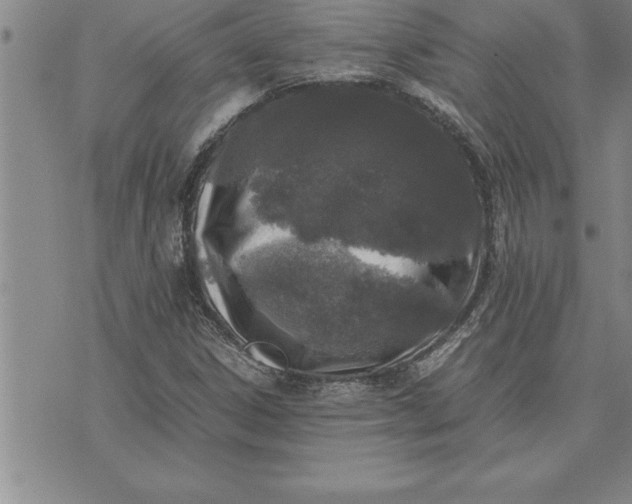 X0000071831306200607141650