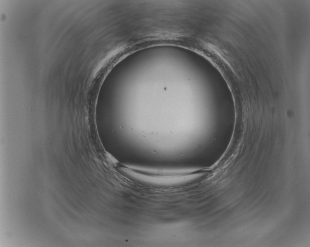 X0000071831307200607141650