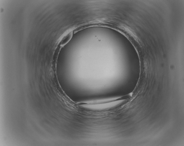 X0000071831308200607141650