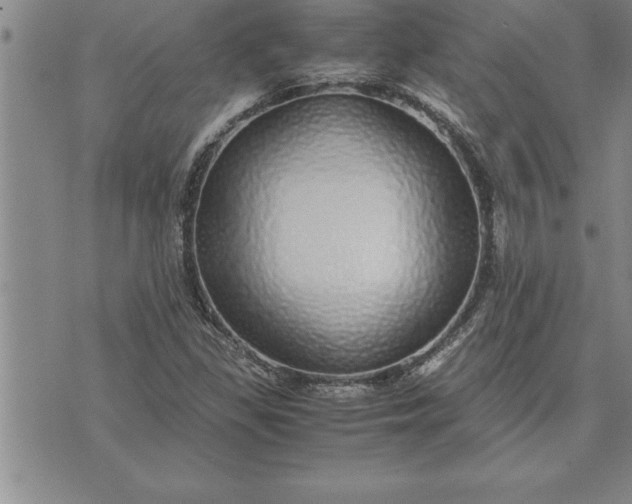 X0000071831309200607141650