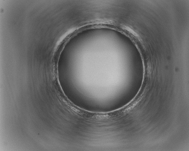 X0000071831310200607141650