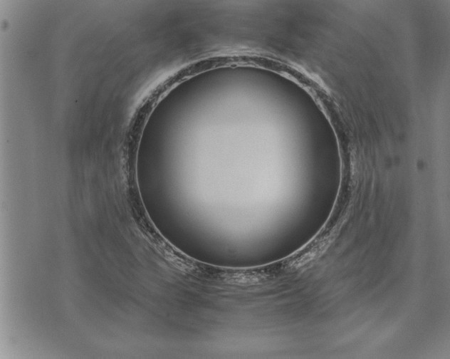 X0000071831311200607141650