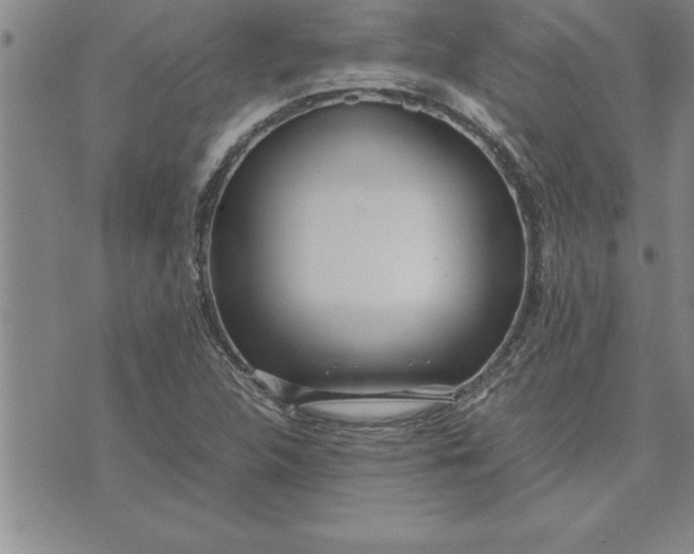 X0000071831312200607141650