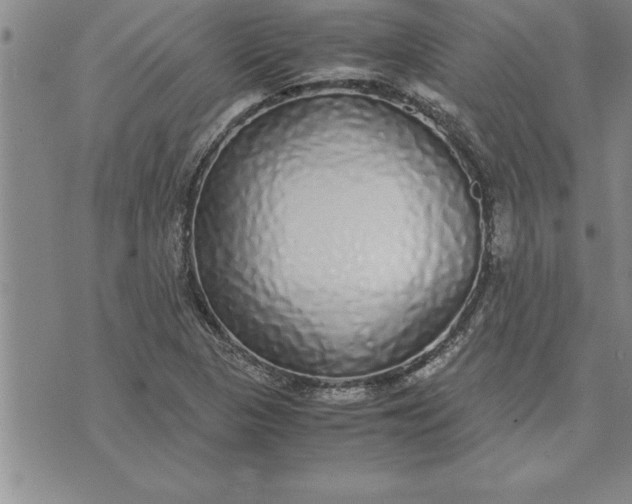 X0000071831313200607141650