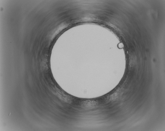 X0000071831314200607141650