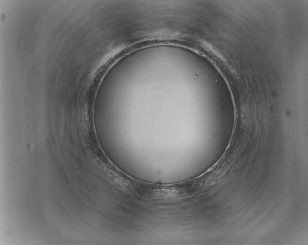 X0000071831315200607141650