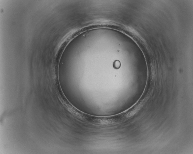 X0000071831318200607141650