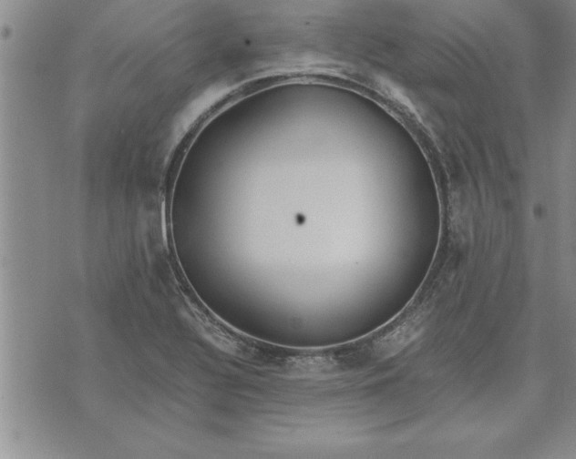 X0000071831320200607141650