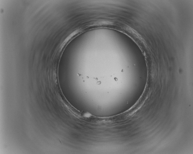 X0000071831321200607141650