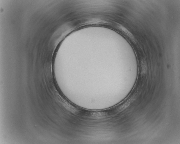 X0000071831322200607141650