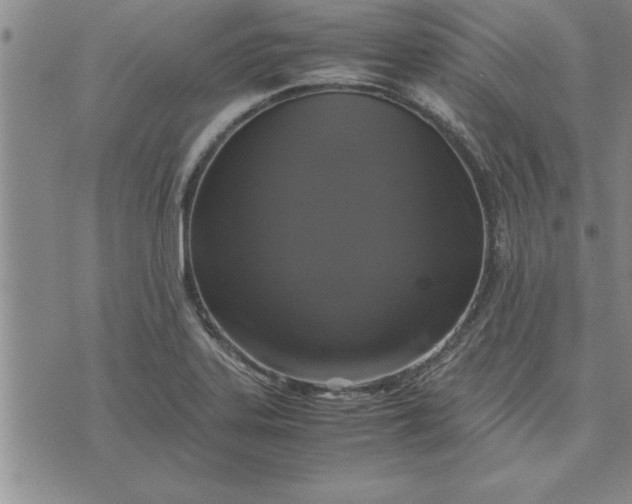 X0000071831323200607141650