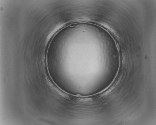 X0000071831325200607141650