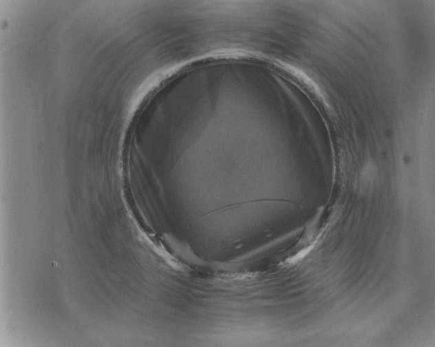 X0000071831327200607141650