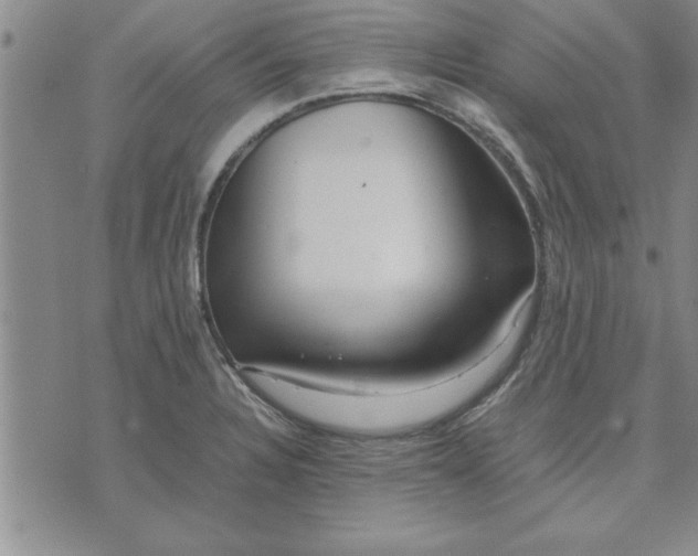 X0000071831328200607141650