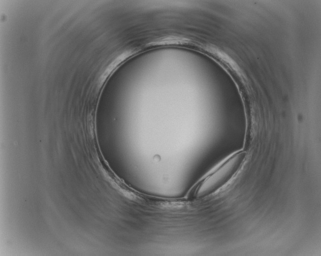 X0000071831329200607141650