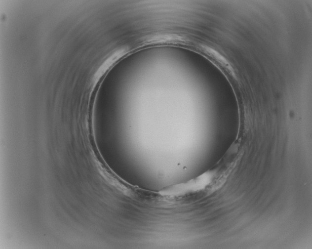 X0000071831330200607141650