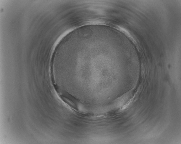 X0000071831331200607141650