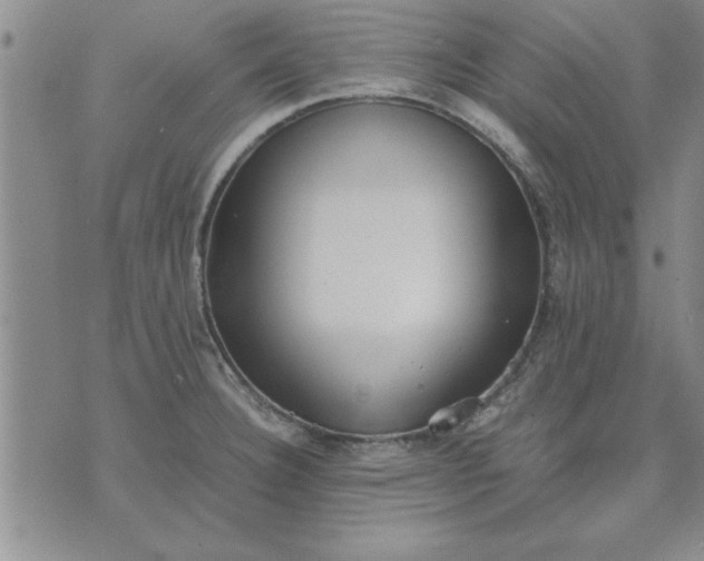 X0000071831332200607141650