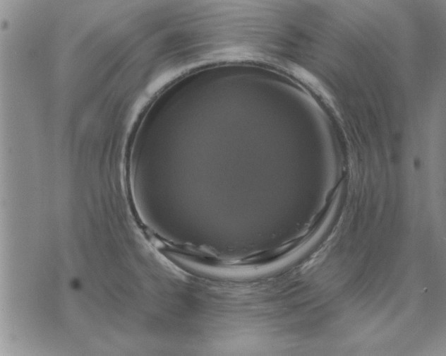 X0000071831334200607141650