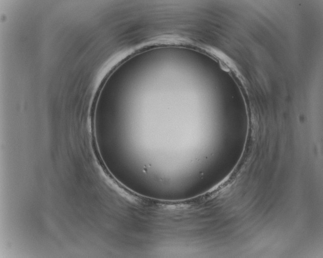 X0000071831335200607141650