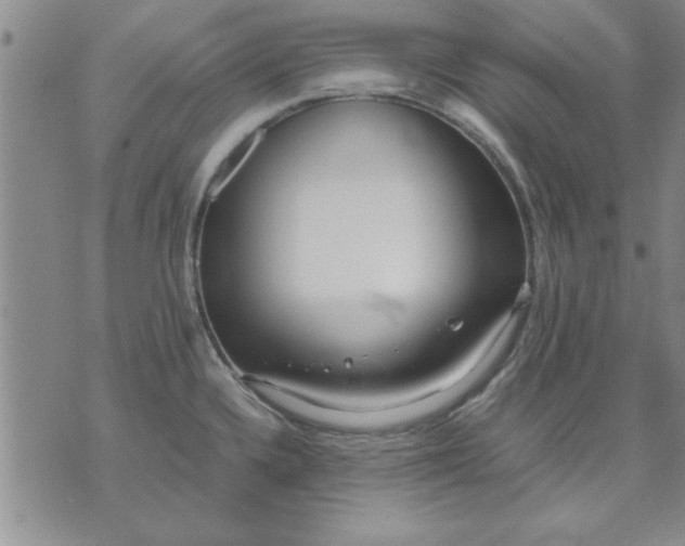 X0000071831336200607141651