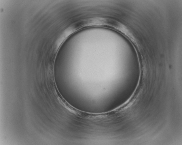 X0000071831337200607141651