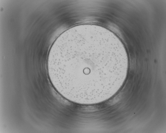 X0000071831338200607141651