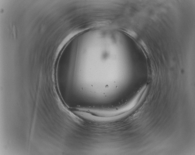 X0000071831339200607141651