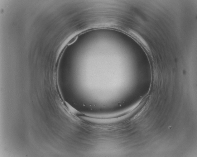 X0000071831340200607141651