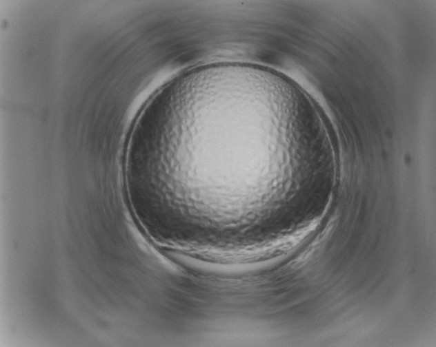 X0000071831341200607141651