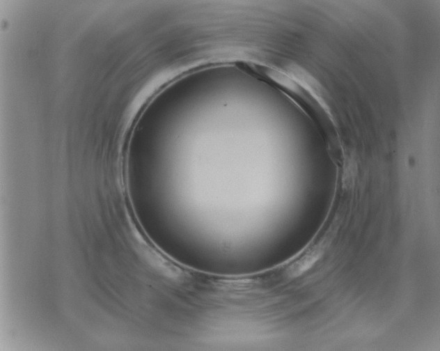 X0000071831342200607141651