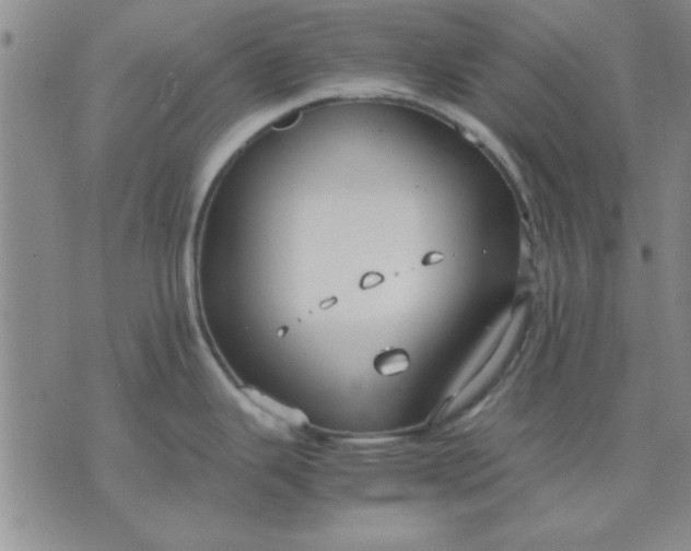 X0000071831343200607141651