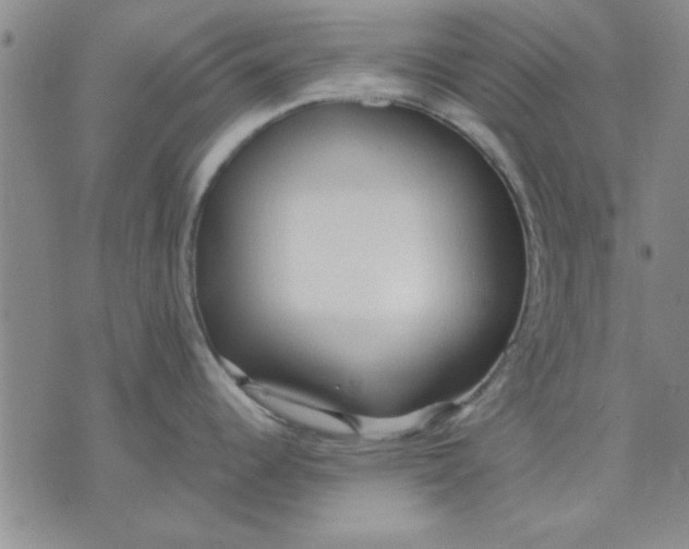 X0000071831344200607141651