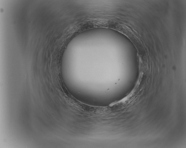 X0000071831345200607141650