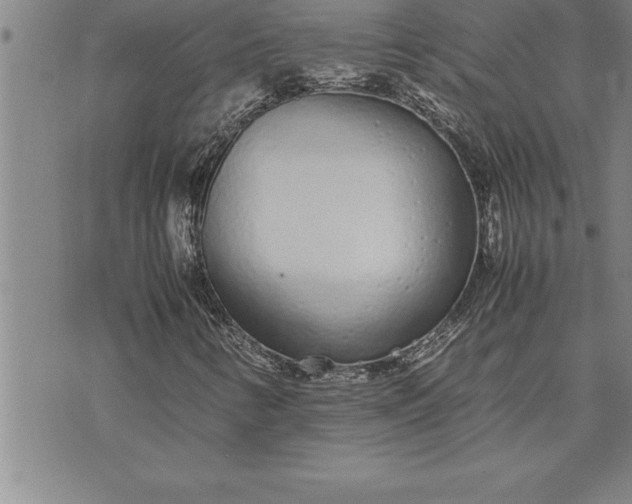 X0000071831346200607141650