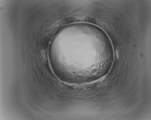 X0000071831347200607141650