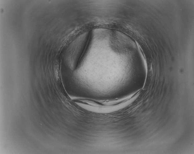 X0000071831348200607141650