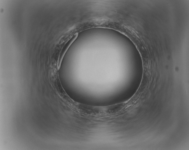 X0000071831349200607141650