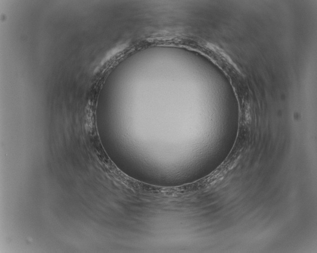 X0000071831350200607141650