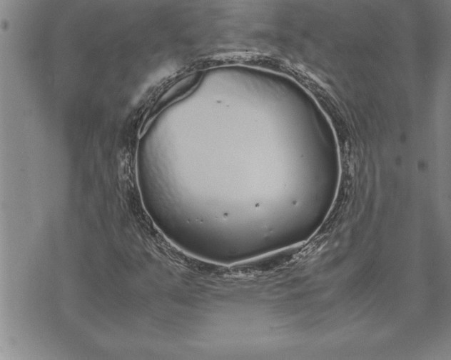 X0000071831351200607141650