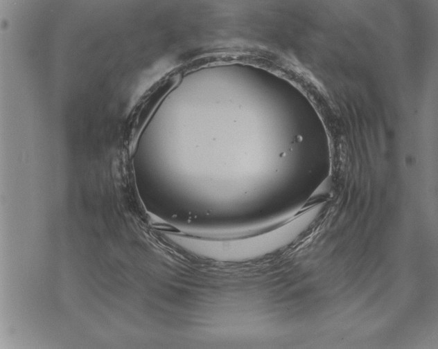 X0000071831352200607141650