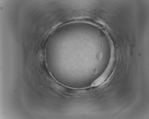 X0000071831353200607141650