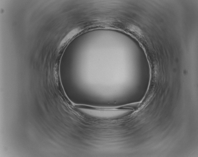 X0000071831354200607141650