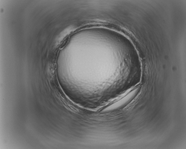 X0000071831355200607141650