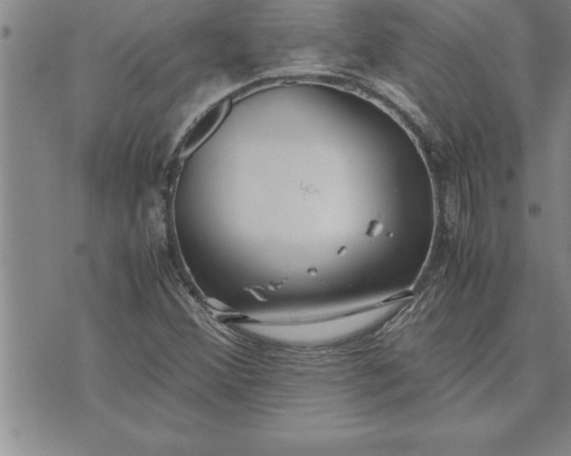 X0000071831356200607141650