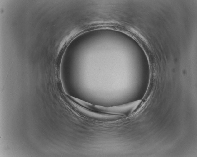 X0000071831357200607141650