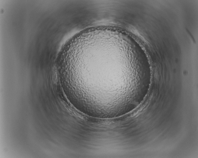 X0000071831358200607141650